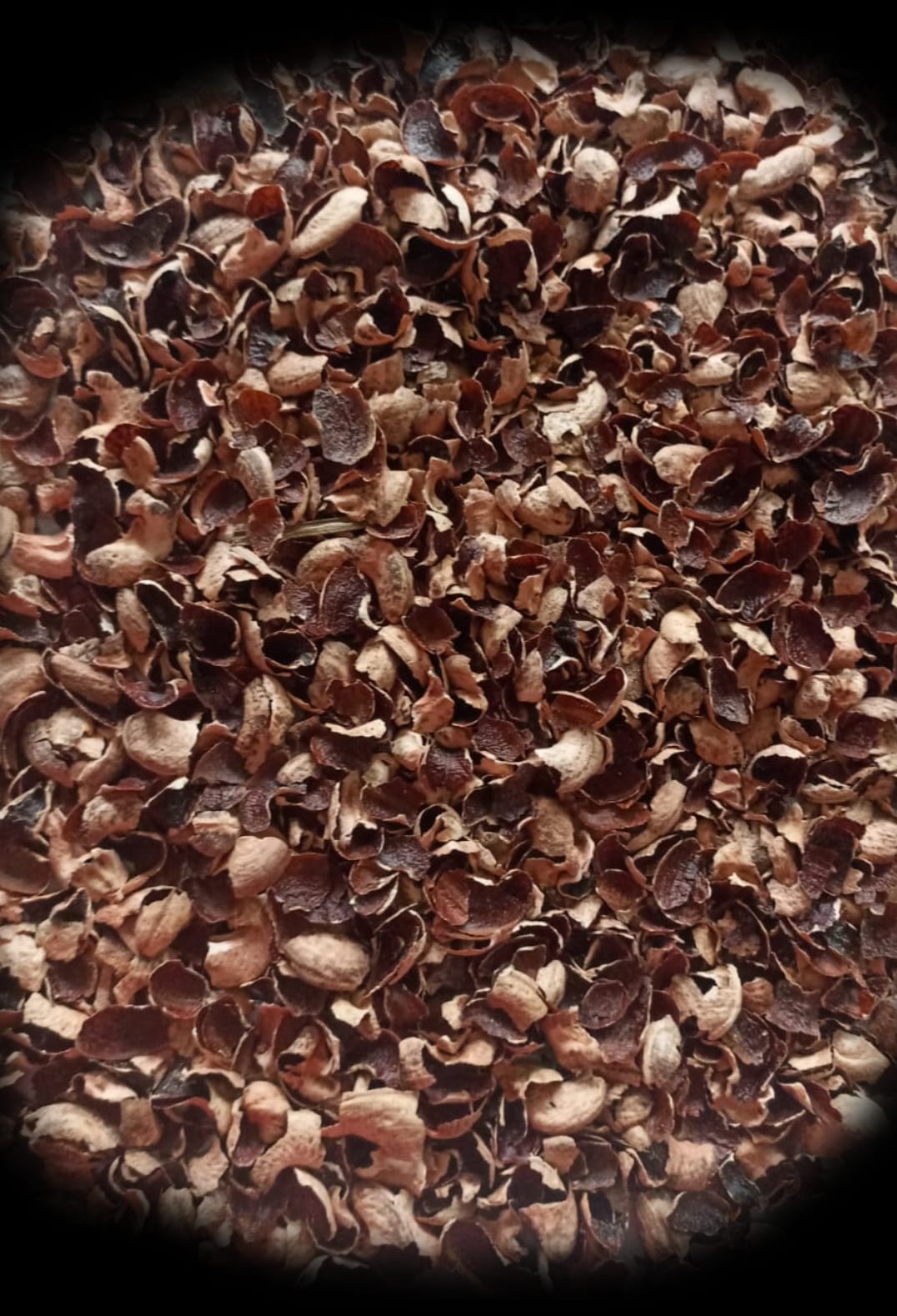 Cashew Husk